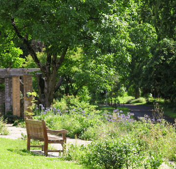 Gardd Fotaneg Parc Singleton
