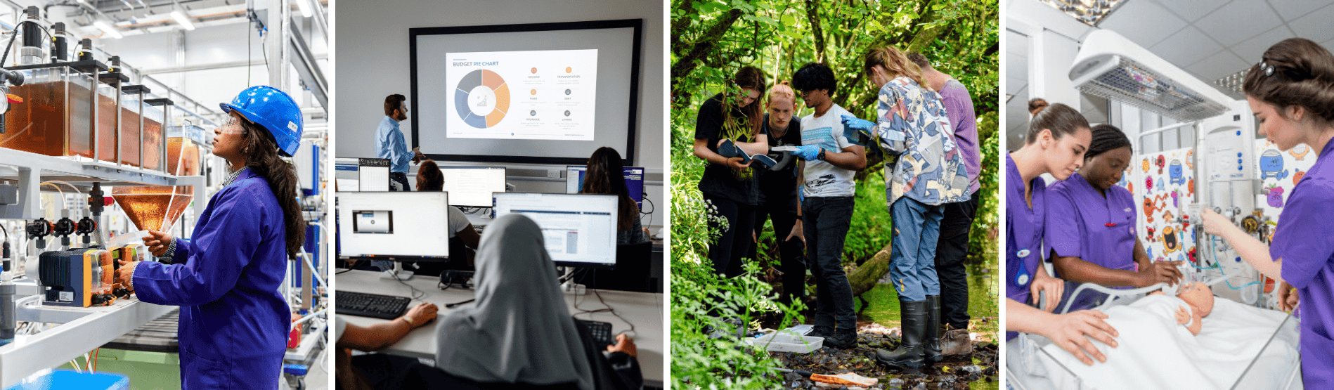 An array of images of students studying.