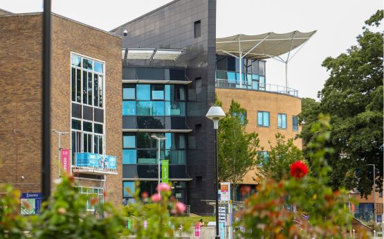 Llun o'r techniwm digidol