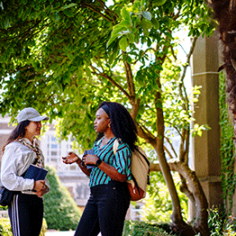 Two female students chat in the area near the Abbey Building on Singleton Campus. It is summer time and the trees are green with the sun shining through.