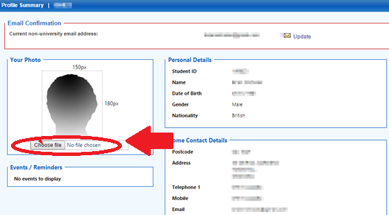 A screenshot of the Profile Summary page with the Choose File option selected