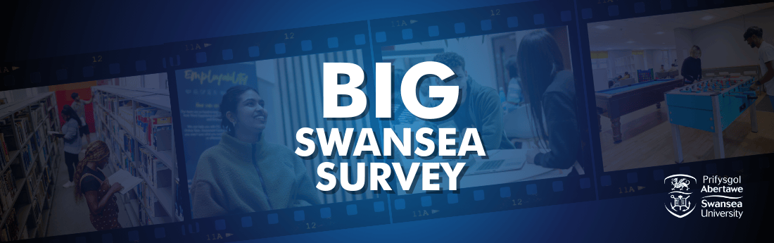 Big Swansea Survey logo on film reel background